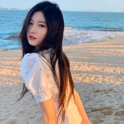 布偶绿野仙踪